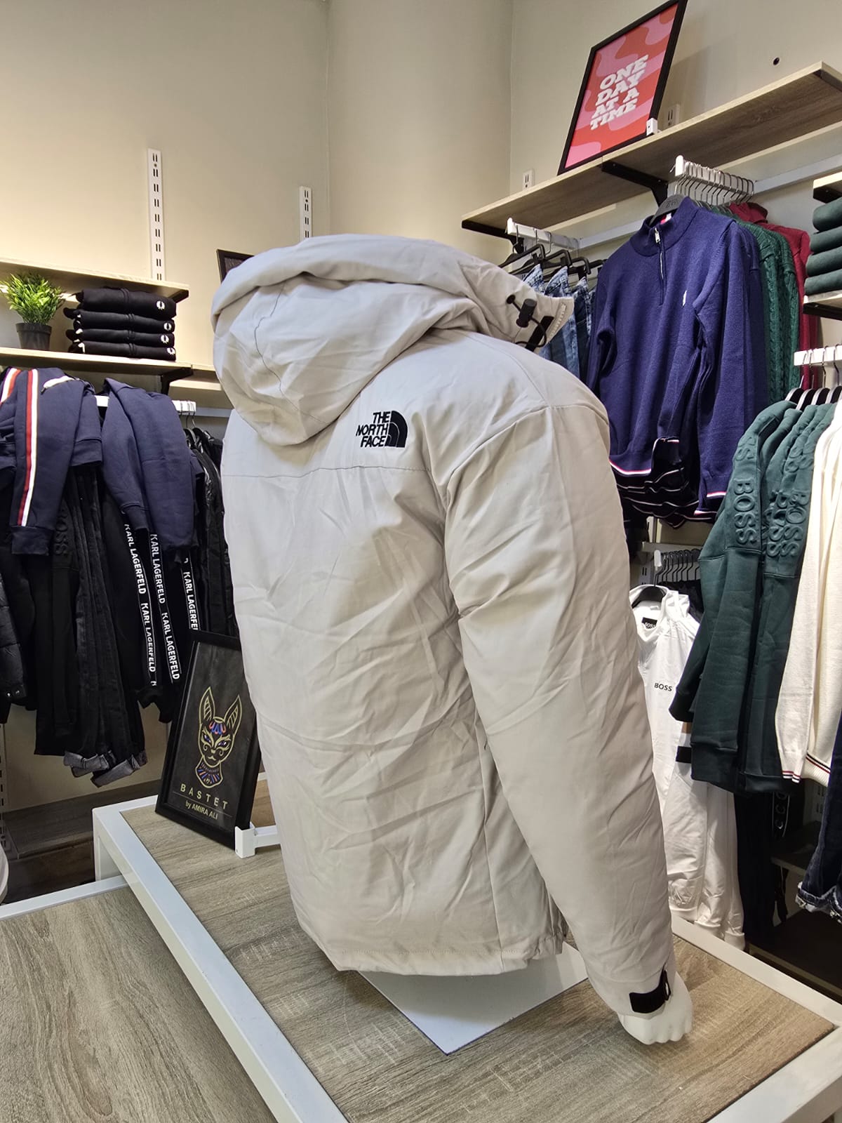 The North Face® | Arctic Down Parka